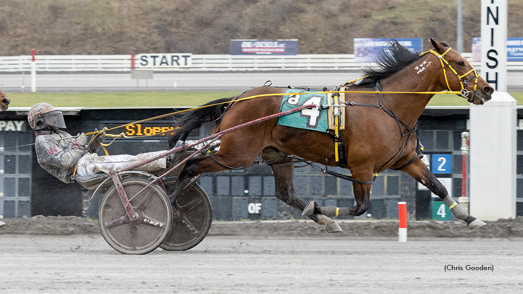 Open Winner Leads Burke Quartet At Meadows