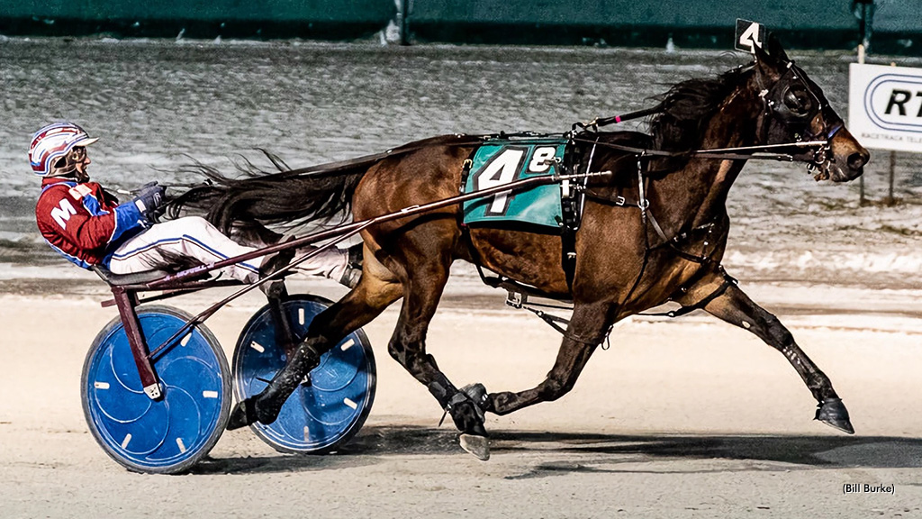Alan Arrives At Buffalo Raceway A Winner