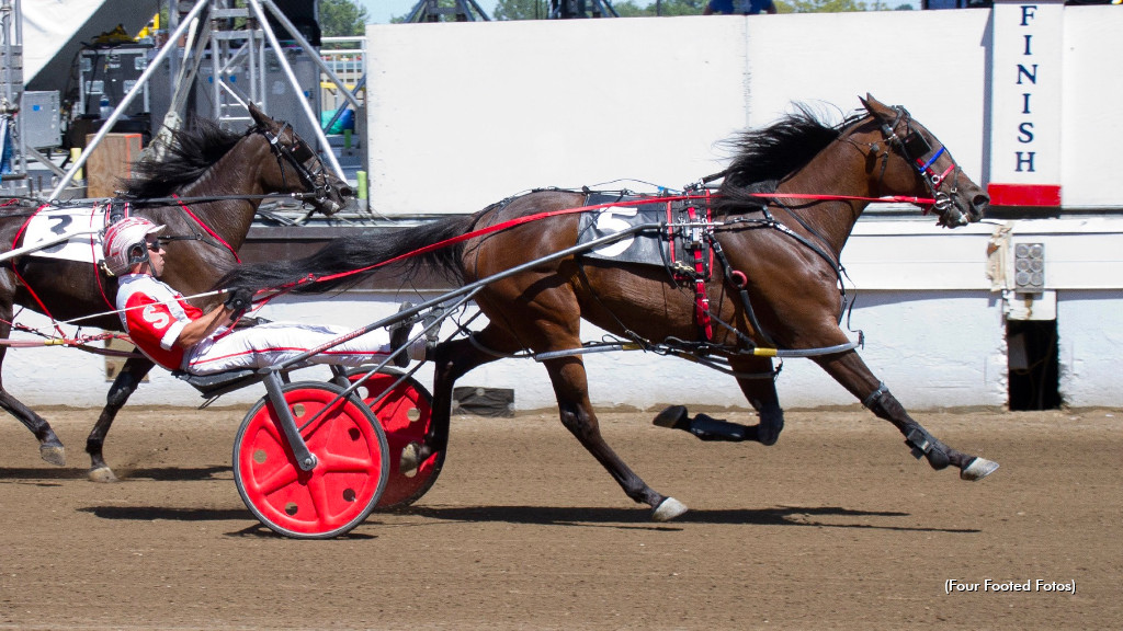 From The Grandstand To The Backstretch
