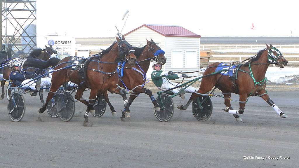 Armycaptin Hanover, Electric Amadeus Shine In Calgary