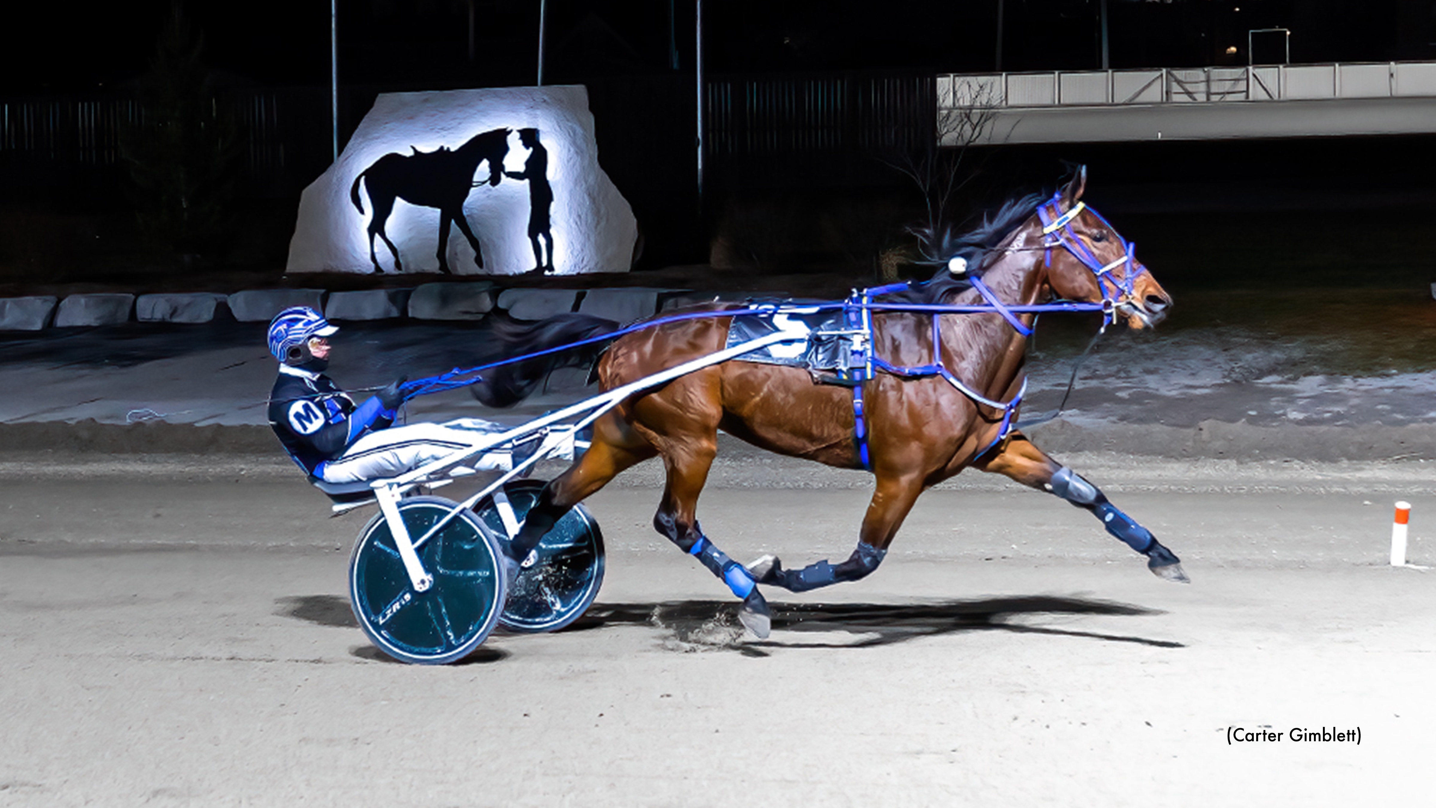 Arrakis Upsets In Western Fair Preferred