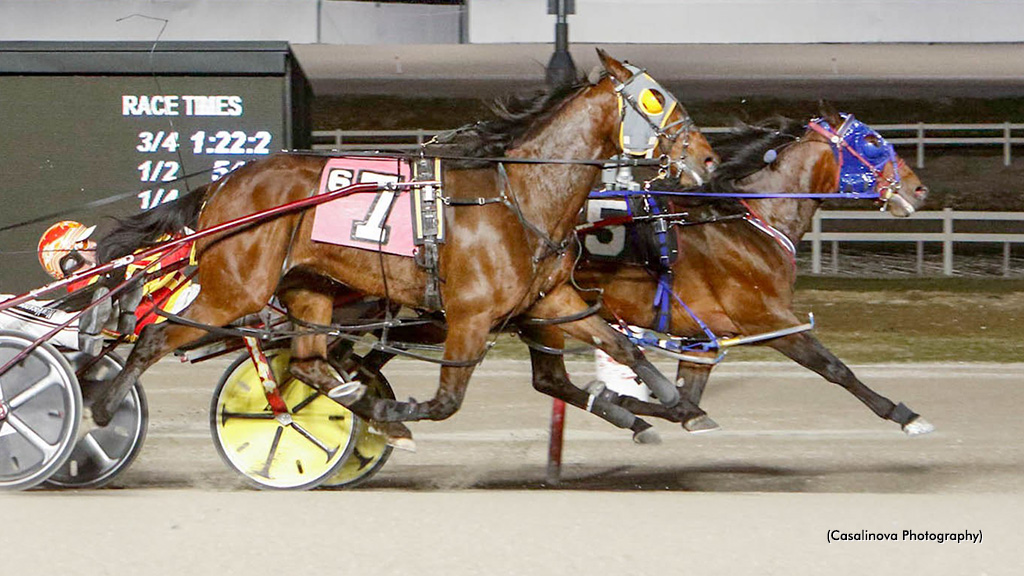 Bernie Rolls To Lifetime Best In Northfield Open