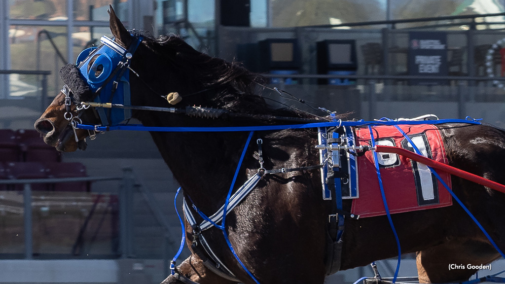 Beth Dutton Brushes In Dunn Memorial Prelim