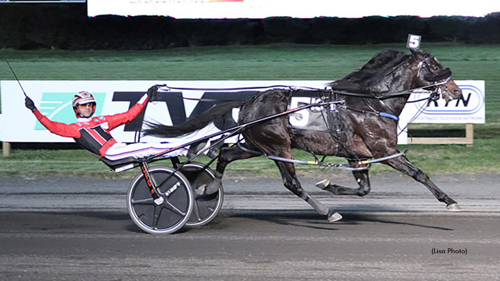 New Stud Fee For Bettors Wish New Stud Fee For Bettors Wish