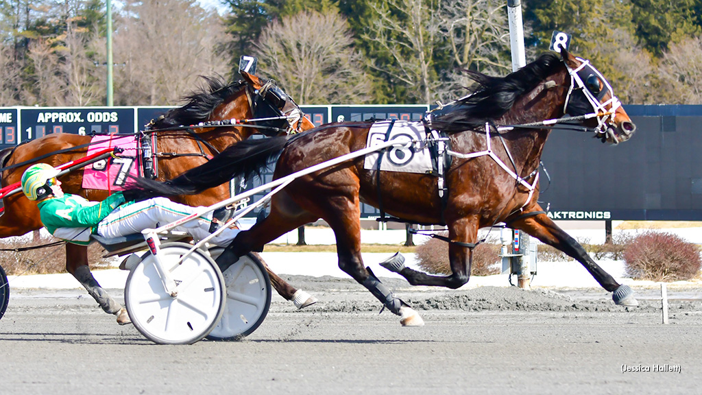 'Big Box' Repeats In Saratoga Open