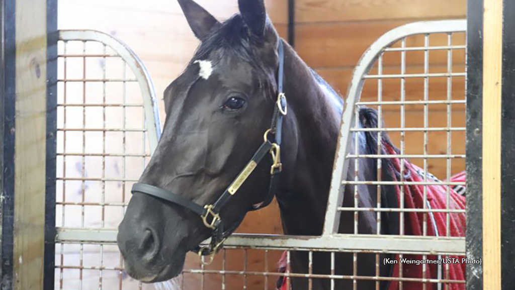 Family Ties Make ‘Cookie’ A Treat