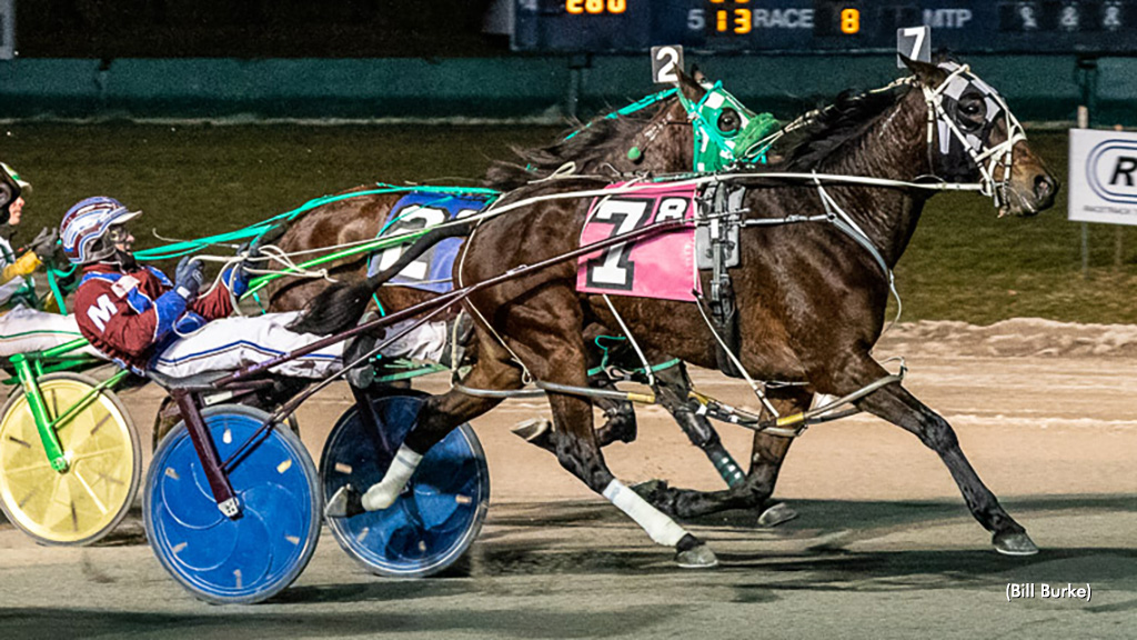Chasethecloudsaway Soars In Buffalo Open