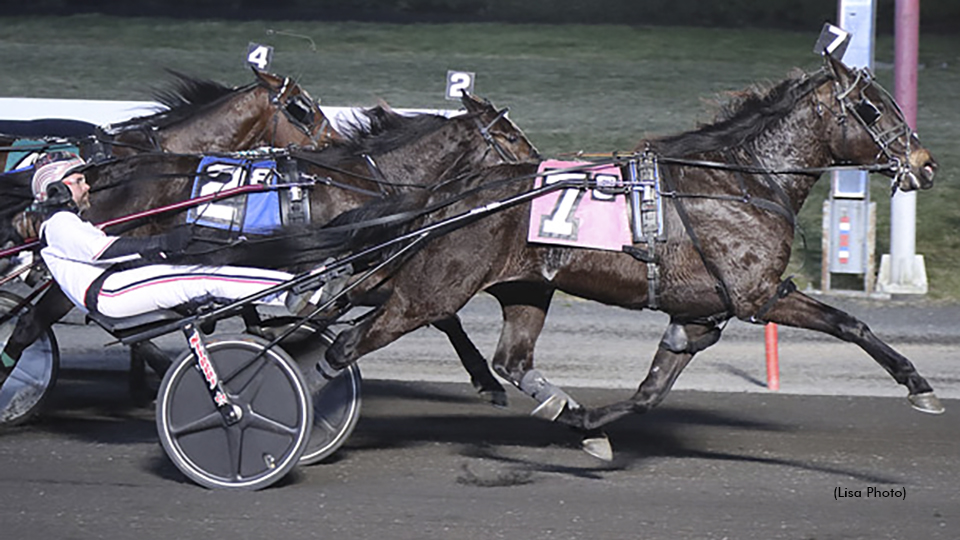 Crazy Fool Charges To Big M Series Win