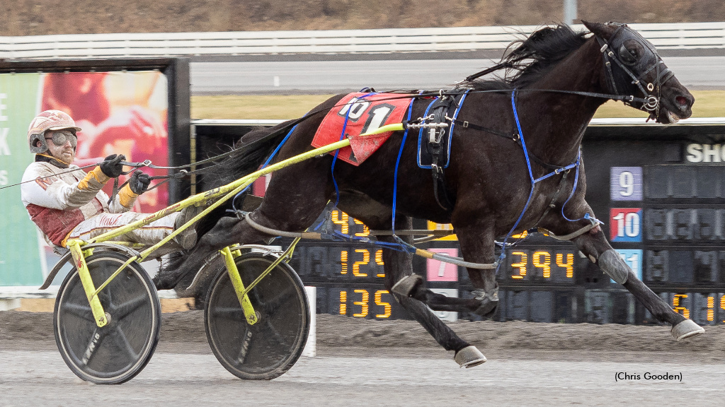 Good Investment Pays Dividends At The Meadows