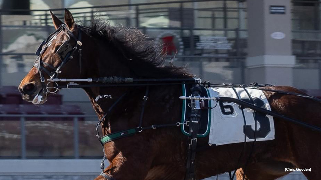 Inside Express Swift In Meadows Series Opener
