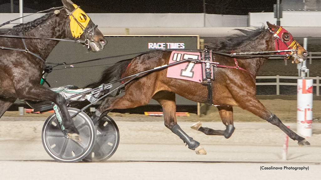 Myers Sweeps Northfield Opens