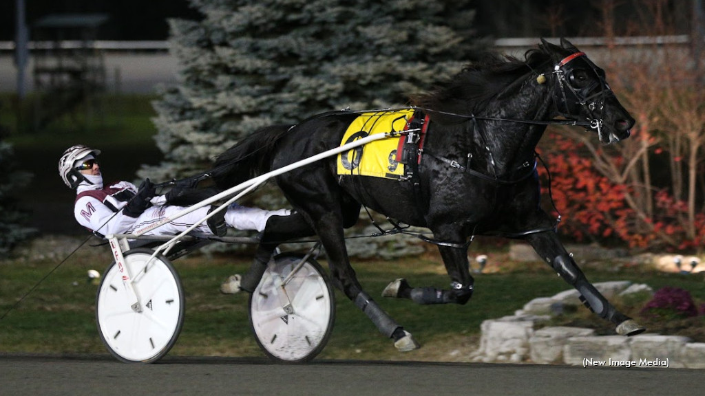 Logan Park Comes Up Large In Open Trot