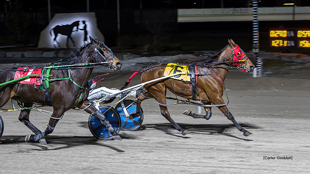 Lovemyrockinbird Cruises In Western Fair Preferred