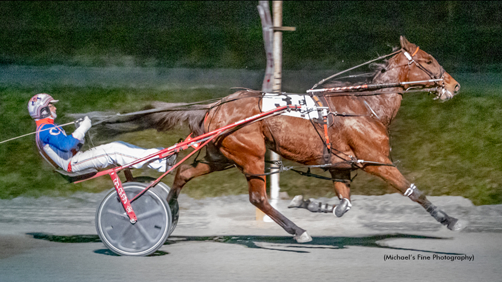 Mach Steady Drops And Pops At Fraser Downs