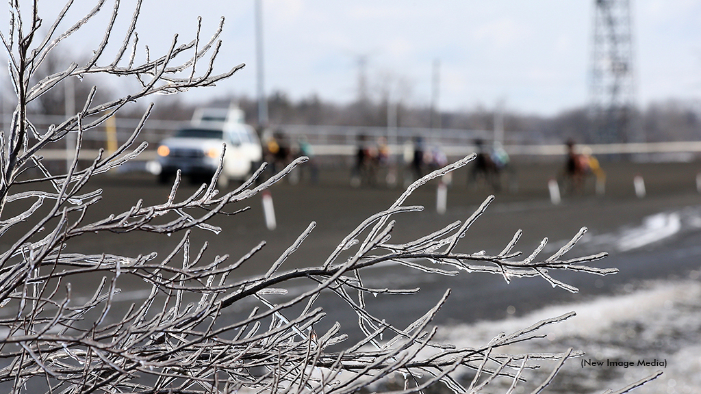 A wintery scene at qualifiers at Woodbine Mohawk Park