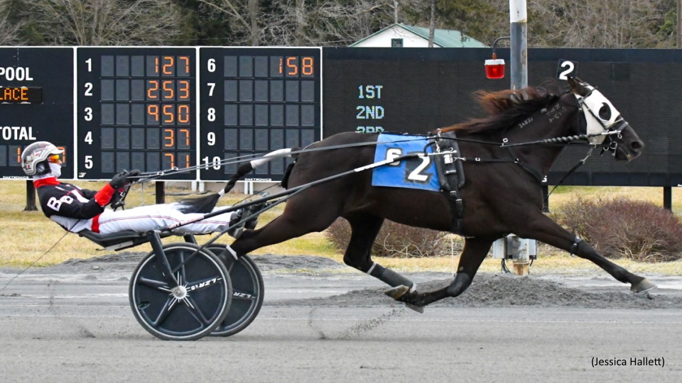 Mr Cool Seaeyre N Upsets In Saratoga Series