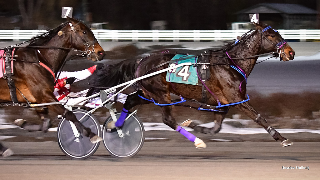 Optical Illusion Takes Saratoga Open