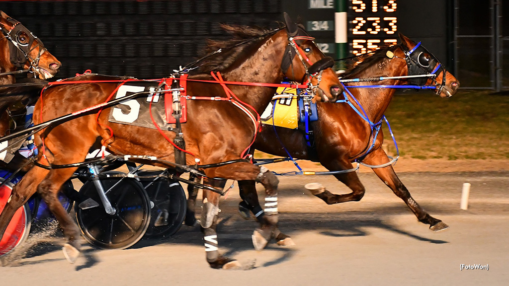 Penzance Hanover Repeats In Dover Open