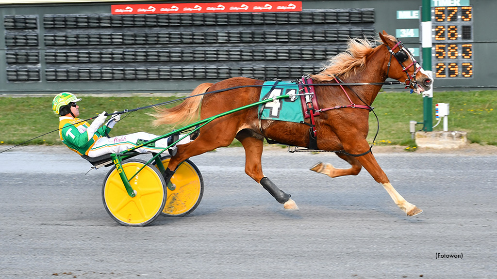 Perfect Twenty Dominates In DSBF Late Closer Final