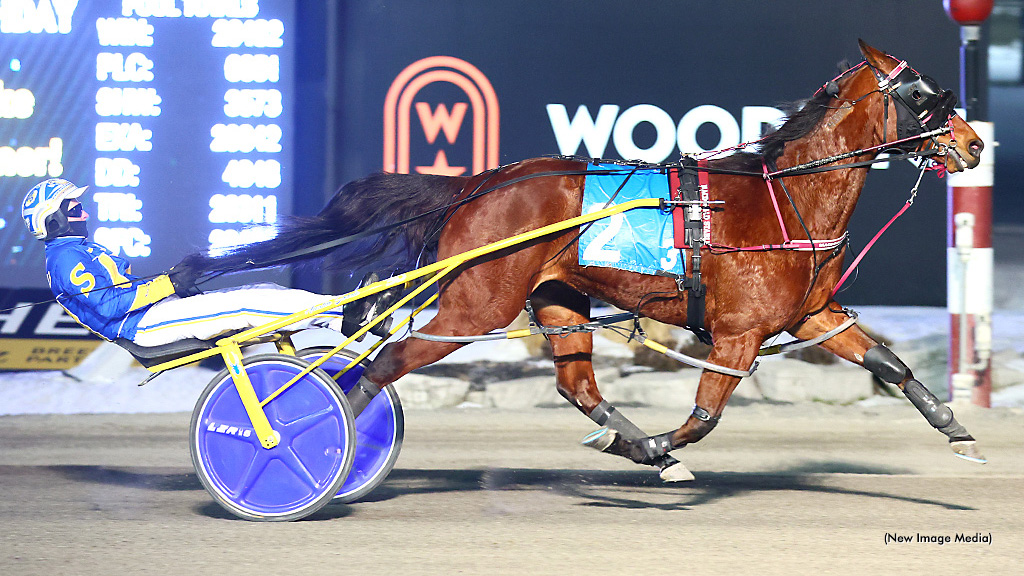 Saulsbrook Victor Repeats In Free For All