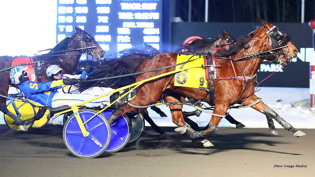 Saulsbrook Victor Swoops To Mohawk Victory