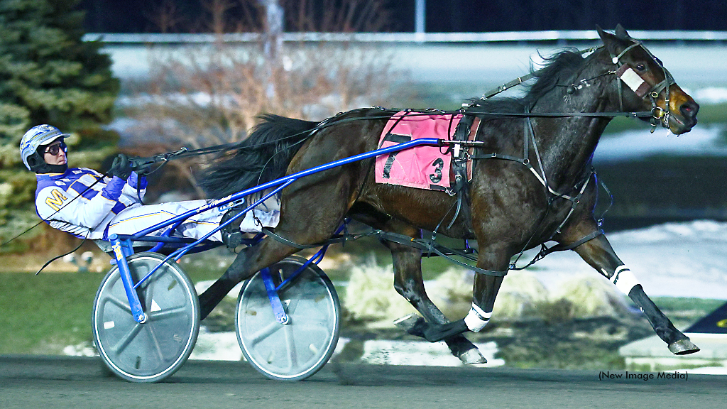 So Much More Masters Mohawk Mares