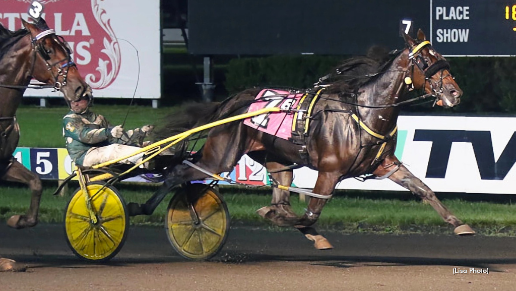 Southwind Gendry Shows Off