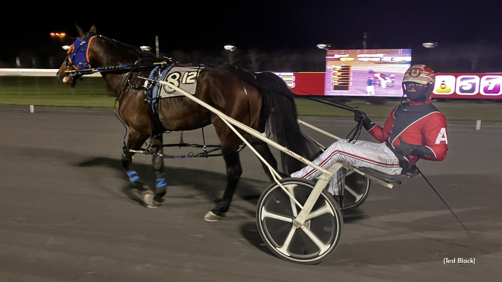 Stag Party Repeats At Rosecroft