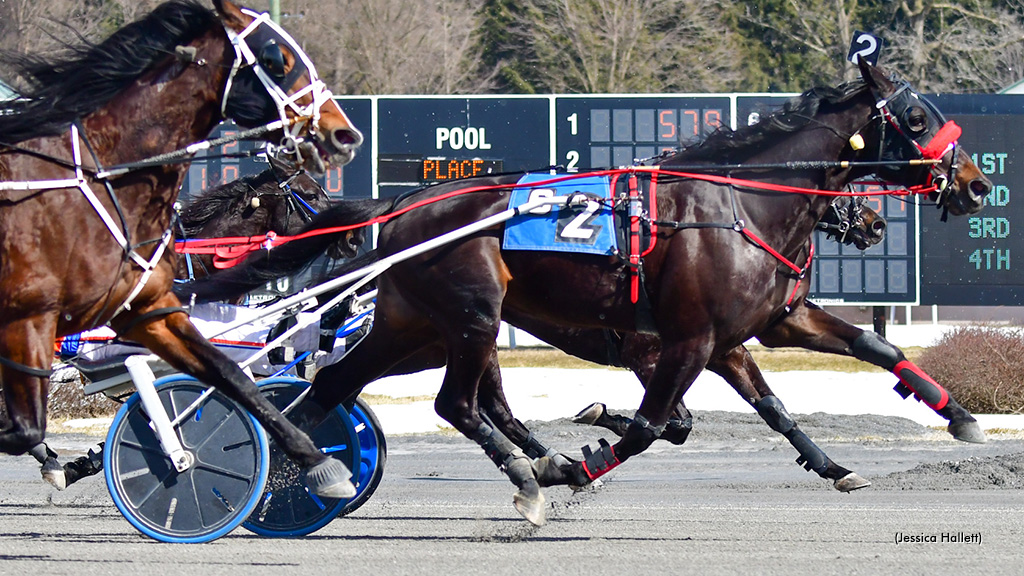 Five Straight For Summit City Sonny