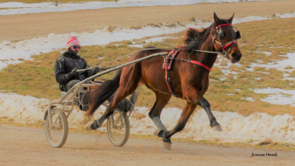 Horses Over Hockey For Todd Ratchford