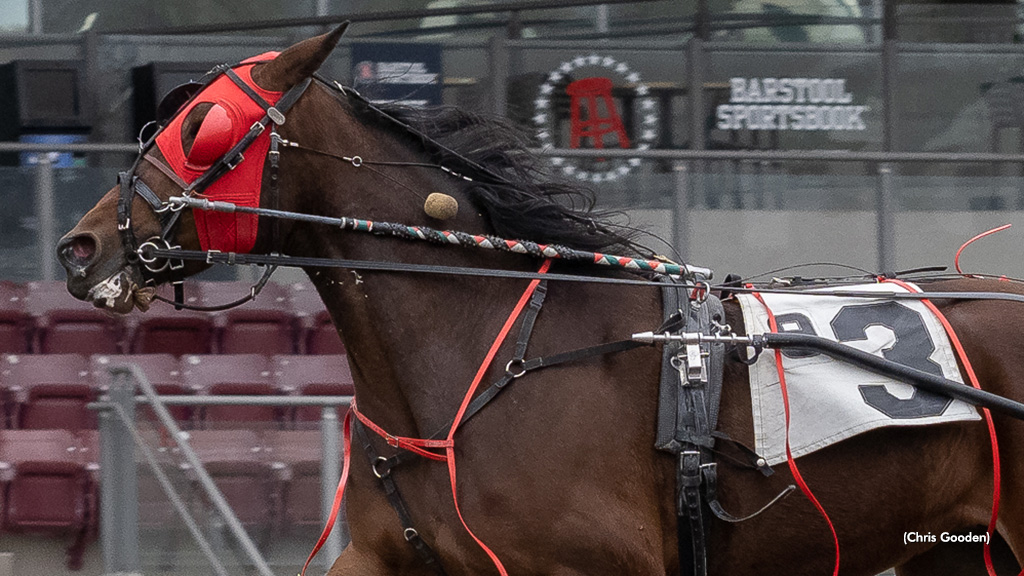 True Seelster Wins Dunn Memorial
