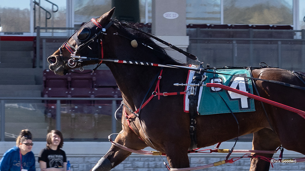 True Seelster Breaks Maiden In Meadows Series