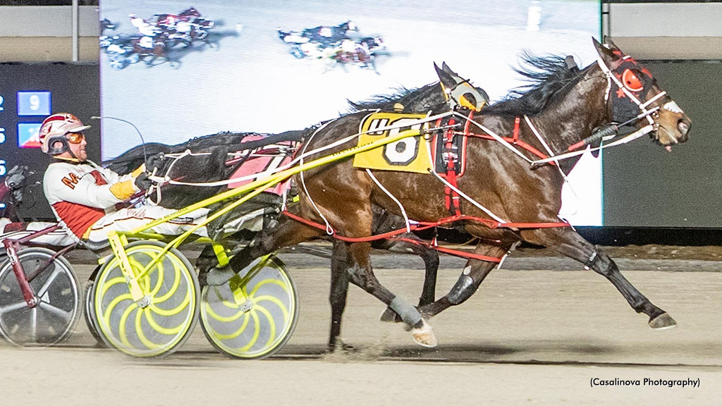 Waitforever N Wins Northfield Open