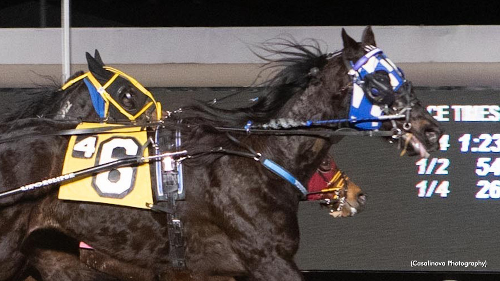 Winning Shadow, Makin Some Noise Cruise At Northfield