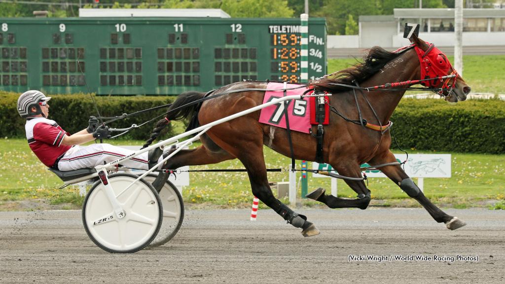 Calabrese, Beltrami Best In Freehold AHDC