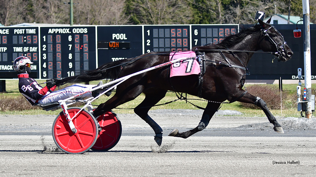 Angel Nation Repeats In Saratoga Open