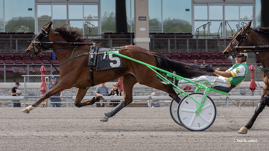 Angelpedia Earns Lifetime Mark In Meadows Series