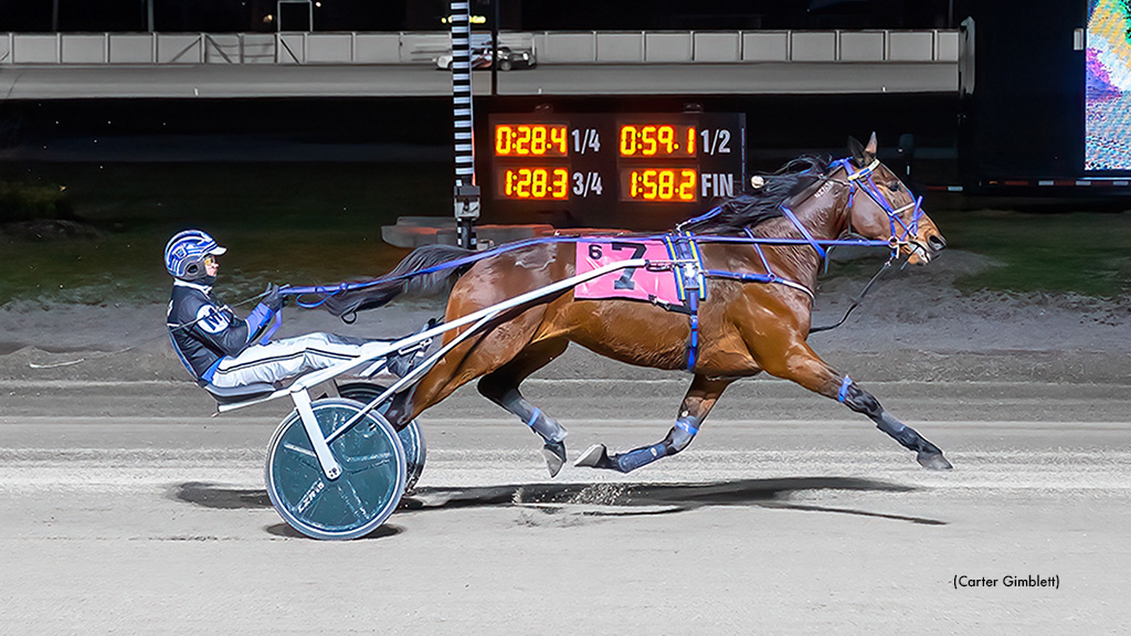 Arrakis Gate-To-Wire In Western Fair Preferred