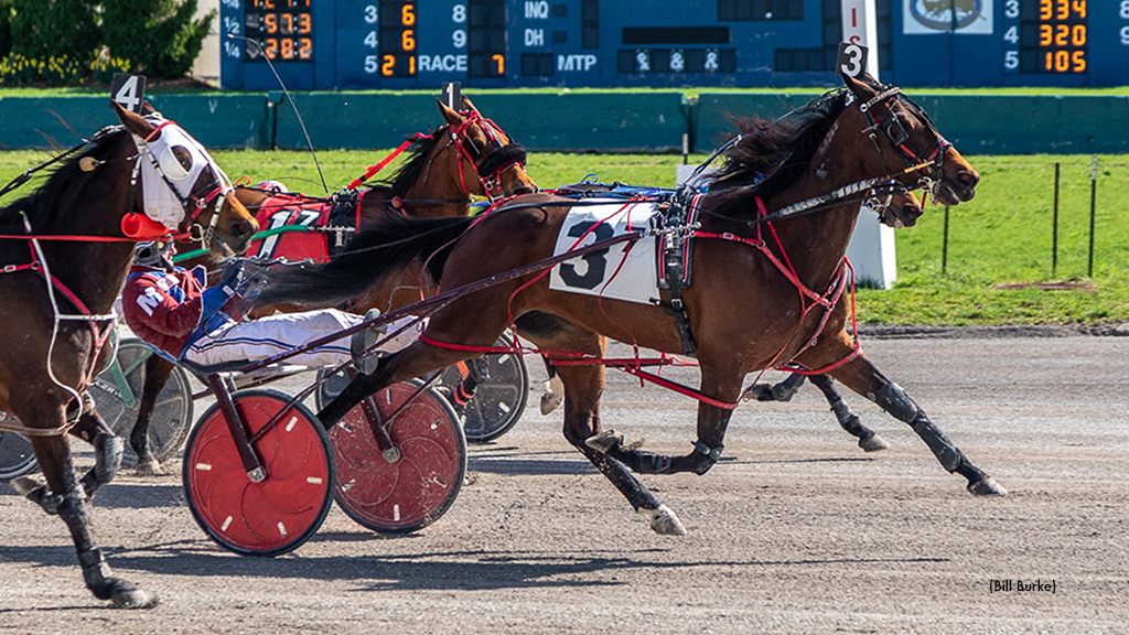 It's A Masterpiece For Artistic Spirit At Buffalo