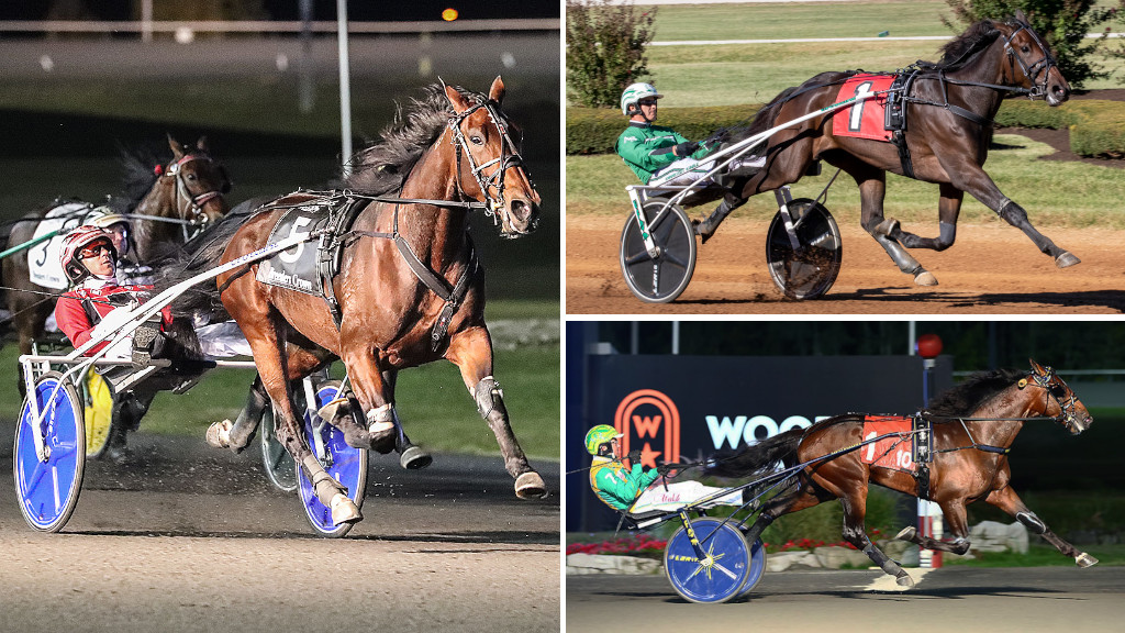Talented Trotters Top Meadowlands Qualifiers