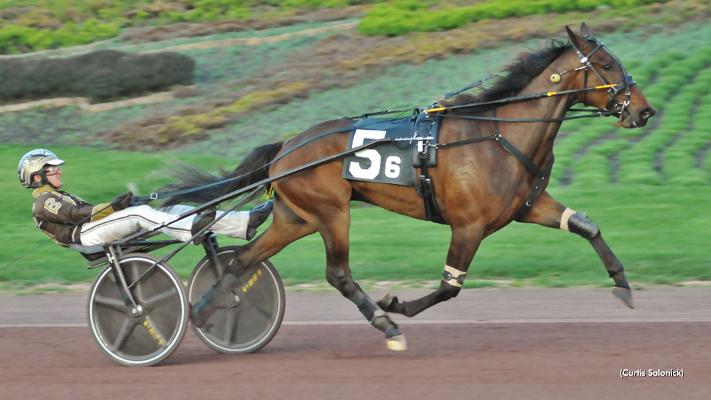 Repeat Winners In Weiss Series