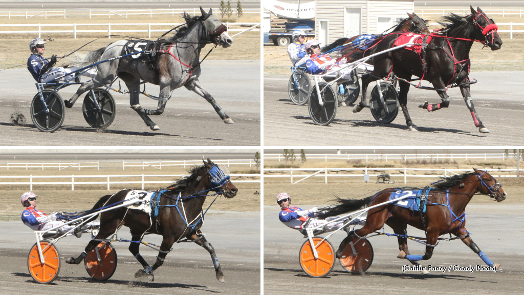 Campbell Triples In Century Stakes Action