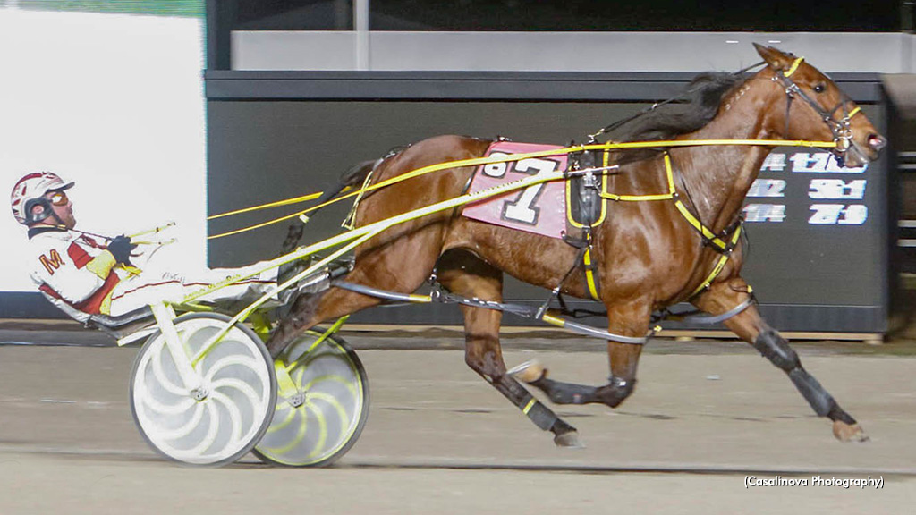 Blue Ivy Notches Win No. 50