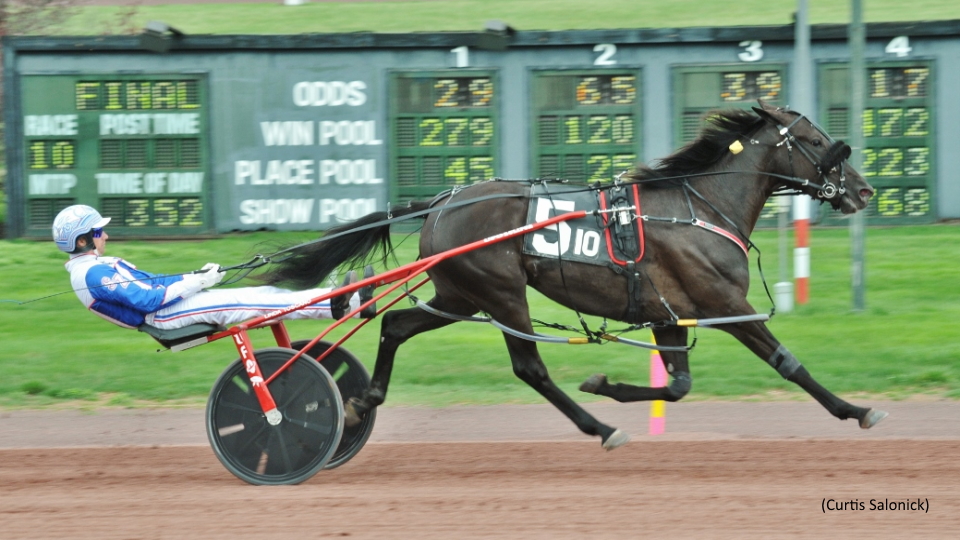 Familiar Faces Repeat In Weiss Series
