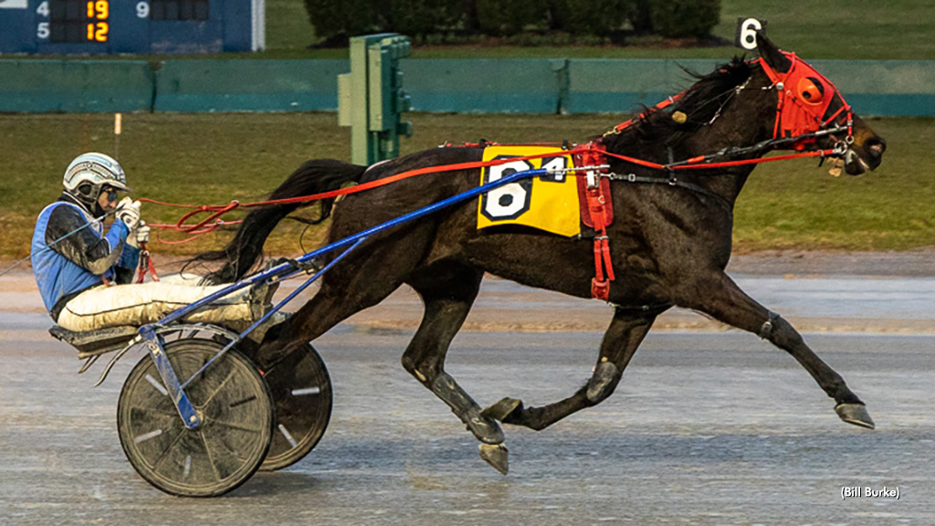 CR Blazin Beauty Best At Buffalo