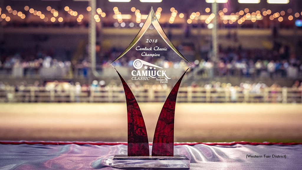 Excitement Brewing For Camluck Classic