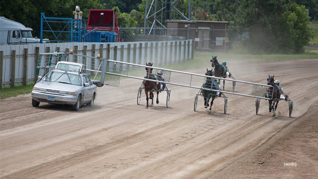 Condition Sheets Posted For Cannon Falls