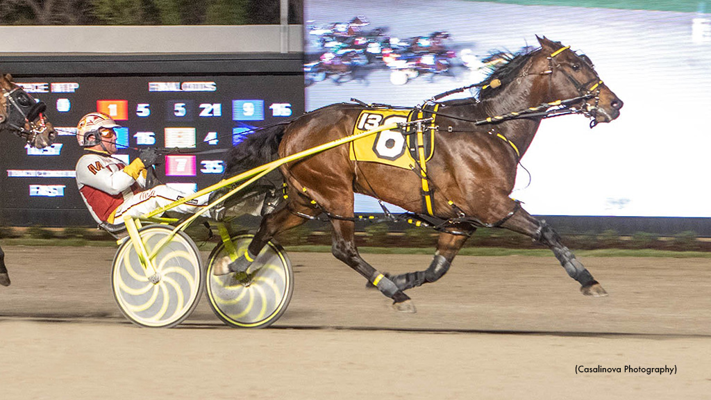 Carolina Beach, Eye Ofa Tiger As Upset In Northfield Opens