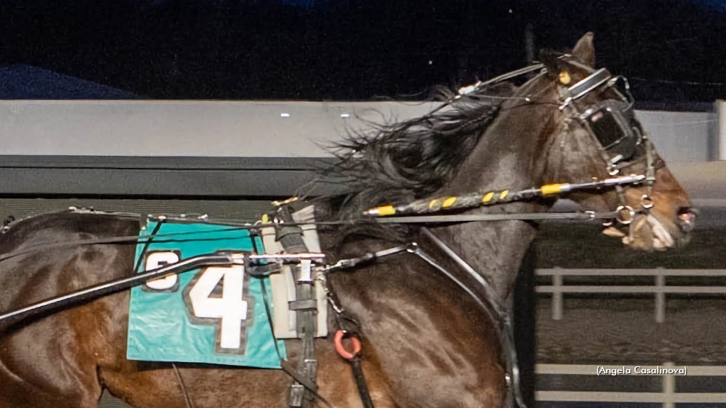 Coastal Clicks In Distaff Derby At Northfield