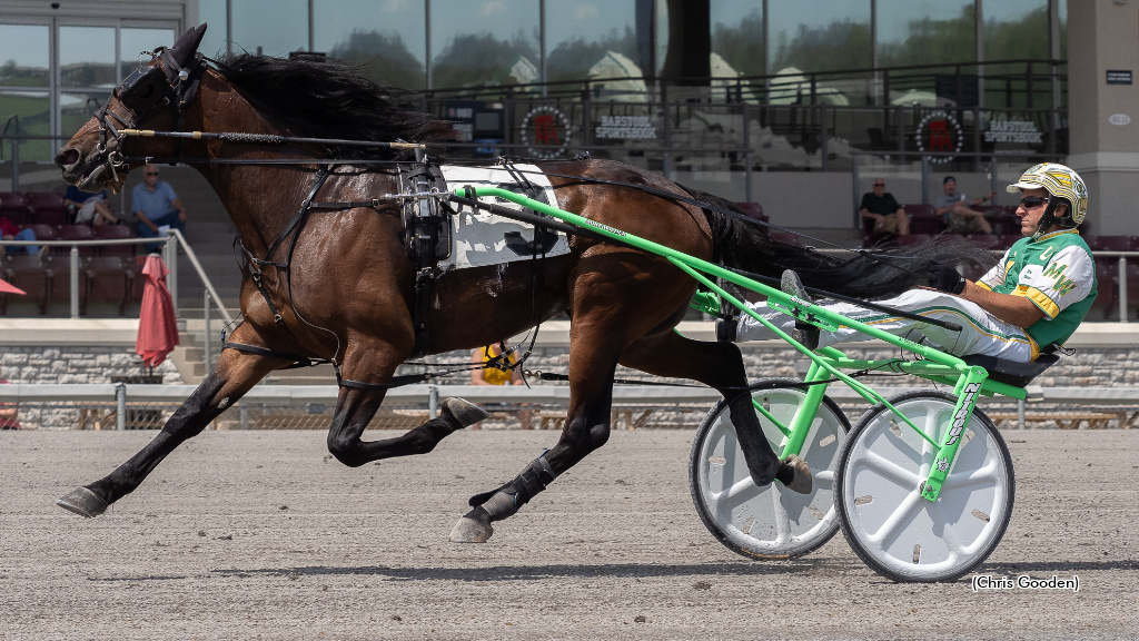 Commander Frank Repeats In Meadows Series